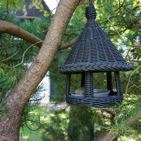 Semesterbostad Einzelhaus-buschkoppel-13 *