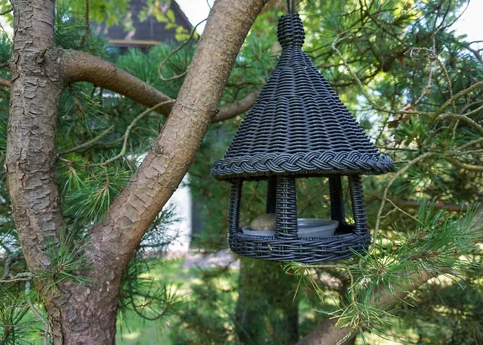 Casa de Férias Einzelhaus-buschkoppel-13 *